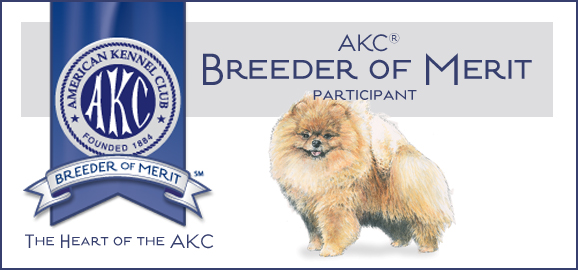 AKC Breeder of Merit