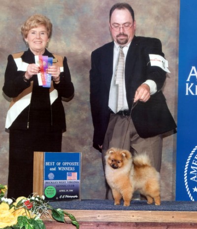 Roxie's first points at 6 1/2 months old