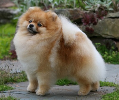 Spencer at 18 months old