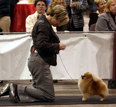 Spencer in the ring with Chris