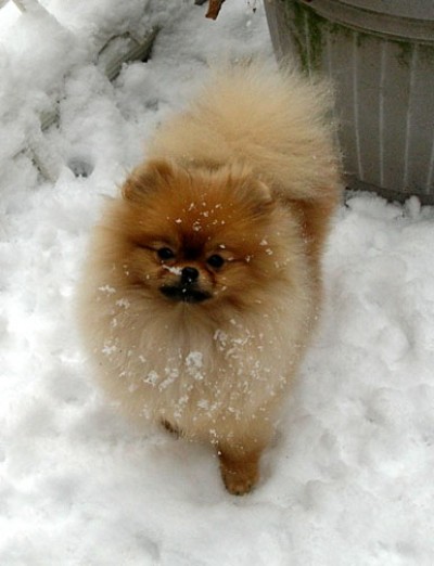 Zoe 8 months old in New York