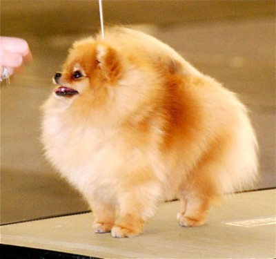 Olivia  at her first match