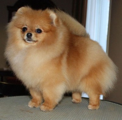 Olivia  at 8 mos old