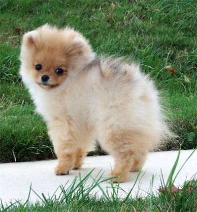 Olivia  at 4 mos old