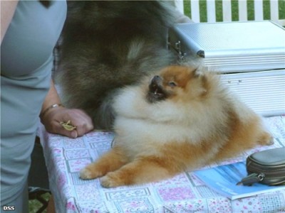 Westley at 19 mos old