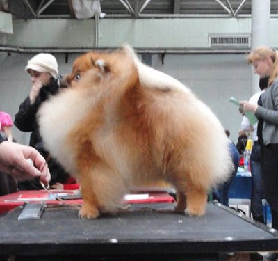 Westley at 13 mos old