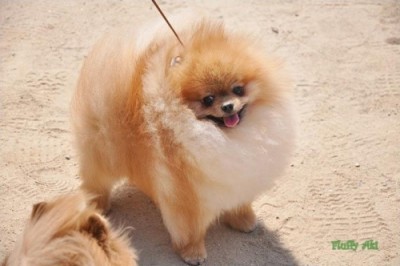 Desmond at 18mos old