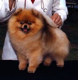 Lana's Let Me Introduce Myself