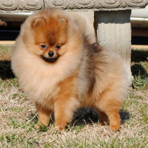 Dee Little Who's Your Daddy