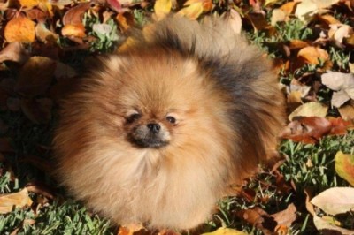 Edyta lives in Texas