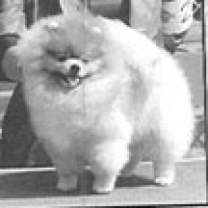 Tim Sue's High Lights