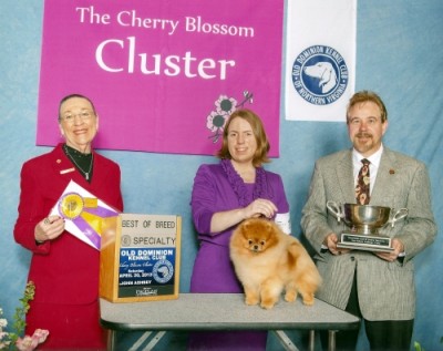 Kert winning Best In Specialty Show at 2 yrs old