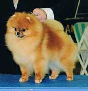 Velocity's Unleash Ur Inhibitions