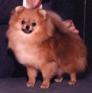 Emcee's Jackie's Esther Bee