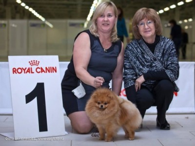 Jaqen winning Best Junior in Russia at 1 yr old