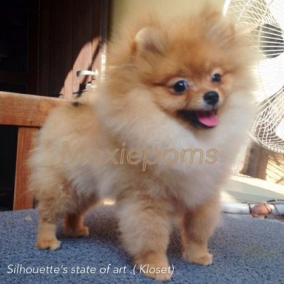 Kosette at 5mos old in Thailand