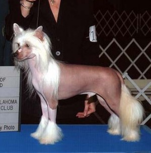 WhisperLn' Boot Scootin' Boogie