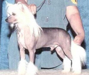 Whispering Ln Color Of Money