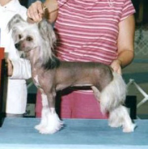 Blackthorn Wudnshu Thriller