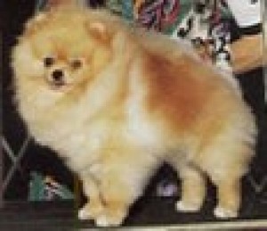 Janesa's For Keepsake