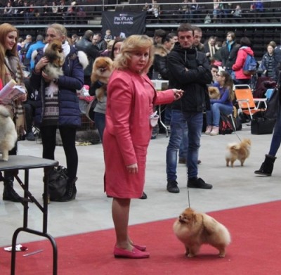 Jaqen at 2 yrs 2 mos old