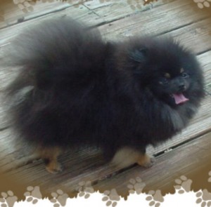 Aphrodites Simply Adorable