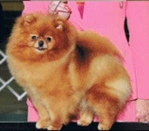 Daystar's Kharmen Gia