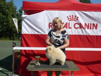 Sherbert at 4 yrs old