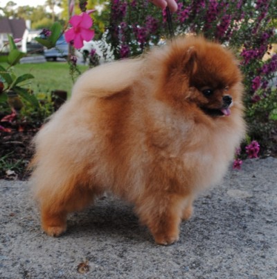 Kert at 4 yrs 4mos old