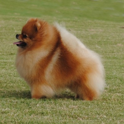 Jorah at 2yrs 9mos old