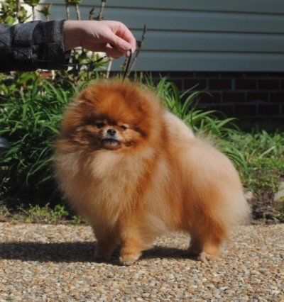 Jorah at 3 1/2 yrs old