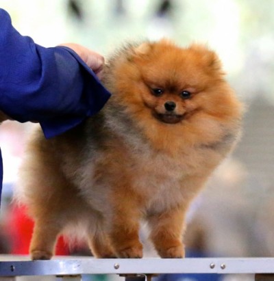David at 1 yr old, courtesy of Sharon Carvalho