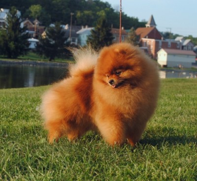 Tristan at 3 yrs old