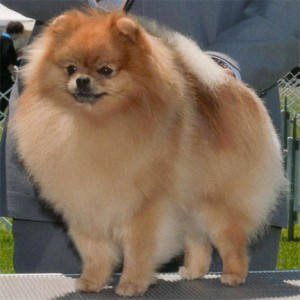 Noble's Made You Look