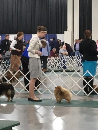 Risk in the ring at 2 years old