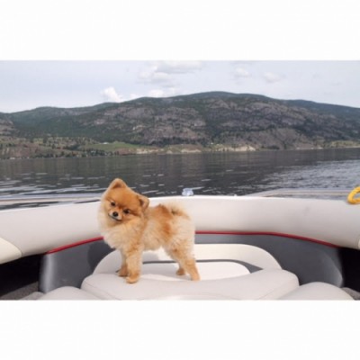 Miss Piper enjoyed many adventures!