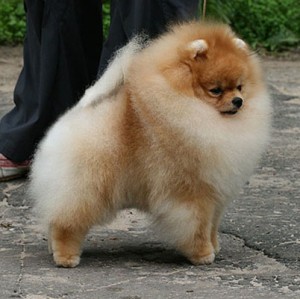 Aesthetics Visual Effect