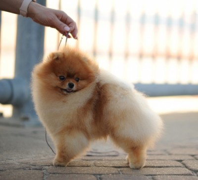  Photo by Dempsey Photography.