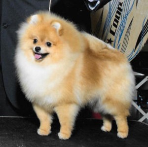 Noble's Girl Gone Wild