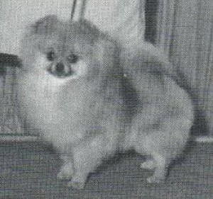 Fame Great Expectations