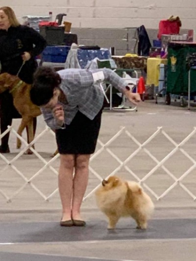 Freddie in the ring with Isabel