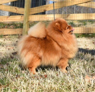 Courtney at 3 years old