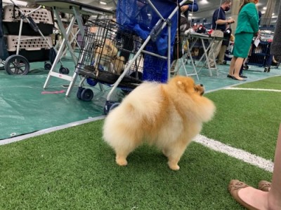 Freddie at 18mos old