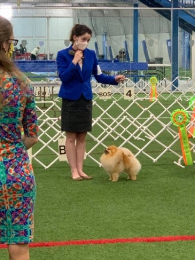 Freddie at 18mos the day he finished his championship