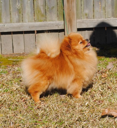 Courtney at 4 yrs old