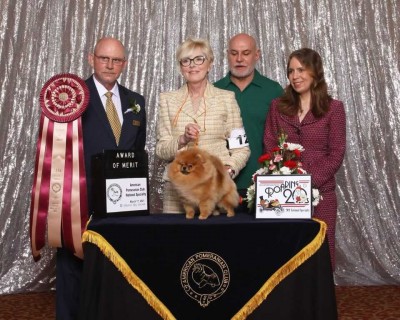 Charley winning 1st Award of Merit at the 2021 APC  National Speciaty