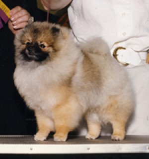 Great Rivers Lil Postman