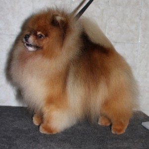 Mythical To Heck With It