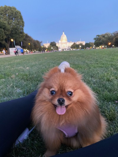 Ilya enjoying a walk by the Capitol in her retirement home