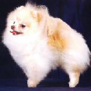 Heartland's Knight and Day